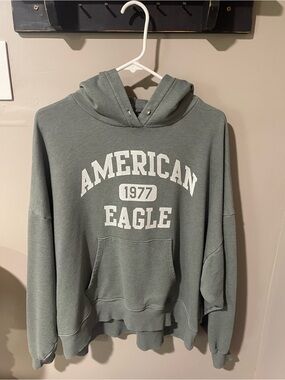 Vintage American Eagle 1977 Sage Green Hoodie